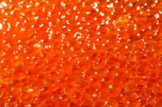 Fish Eggs Orange Caviar