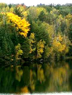 Au Sable River Fall Photo on Cooke Dam Pond